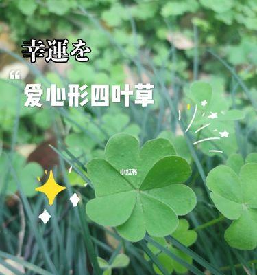 四叶草的象征意义与传说（解读四叶草的幸运与祝福）