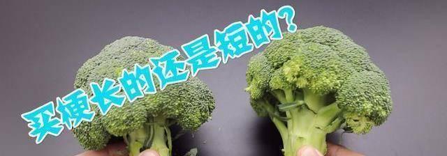 西兰花的根能吃吗（西兰花根的营养价值和食用方法）