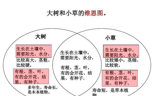 西芹种植方法和时间详解（如何种植西芹并获得丰收）