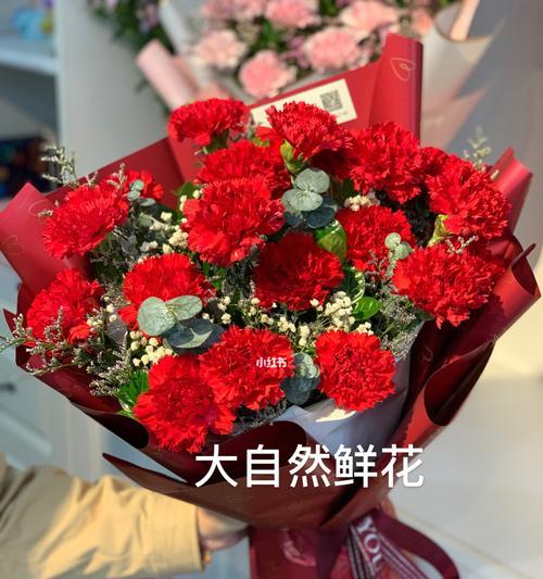 康乃馨花语揭秘（每朵康乃馨代表什么？了解花语）