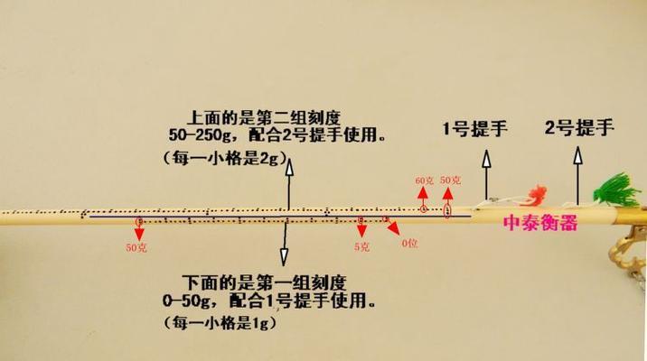 量天尺的正确浇水方法（用水量）