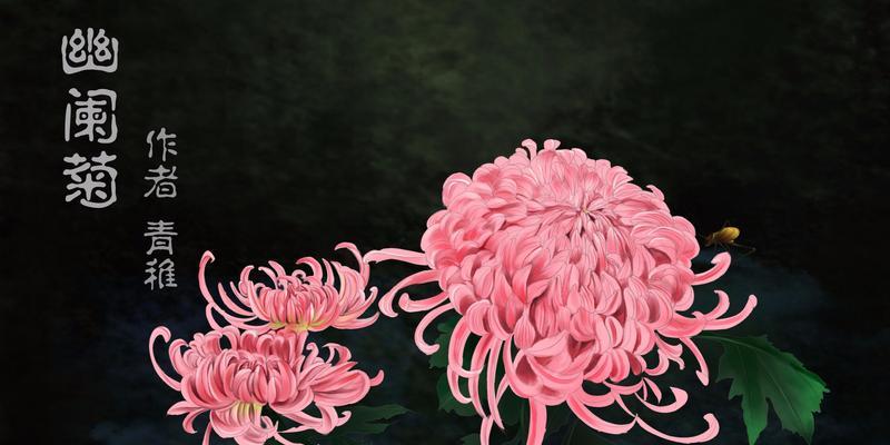 粉色菊花的花语——爱情与温柔（探寻粉色菊花的花语之美）