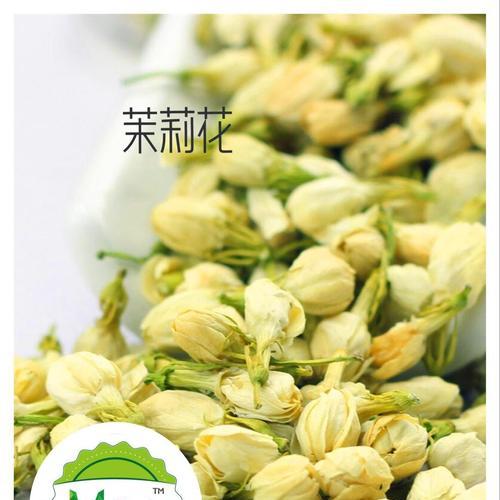 茉莉花的象征意义（探寻茉莉花背后的深刻寓意）