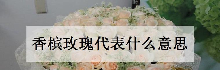 26朵玫瑰的花语及象征意义（探寻26朵玫瑰背后的花语密码）