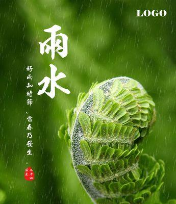 雨水滋养植物的神奇力量（感受雨水的生命之源）