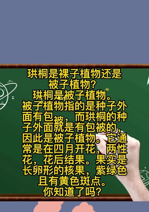 玉兰，一种裸子植物的美丽代表（探究玉兰的生态特征和分类特征）