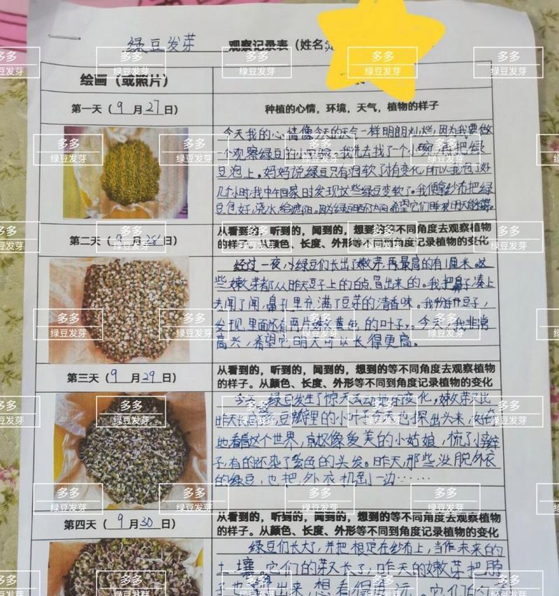 豆瓣绿上盆时间与养护方法，打造健康生长的盆栽