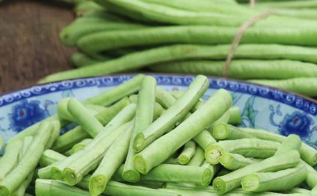 豆角不能和什么一起吃（别让这些食物成为你的“豆角杀手”）