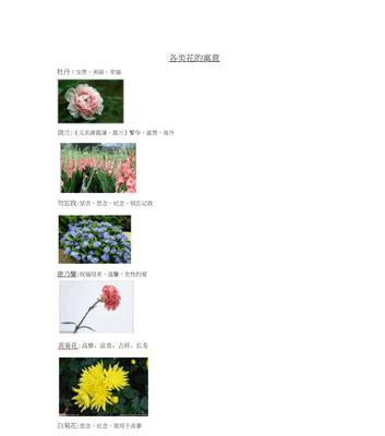 兰花花语是什么？兰花代表了哪些美好寓意？