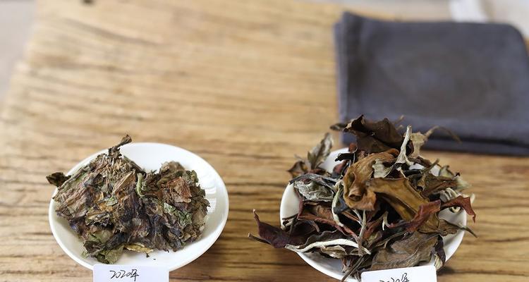 老树白茶属于什么茶？它与其他白茶有何不同？