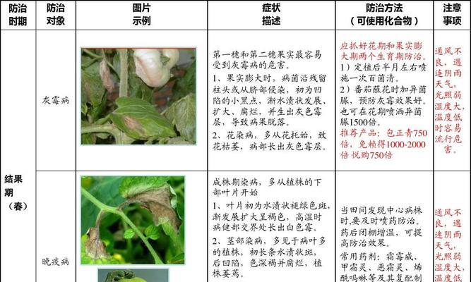 老鸦柿换盆最佳时间是什么时候？脱盆修根后如何正确上盆？