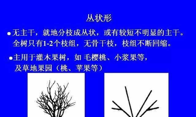 李子树修剪技巧有哪些？如何正确剪枝提高产量？