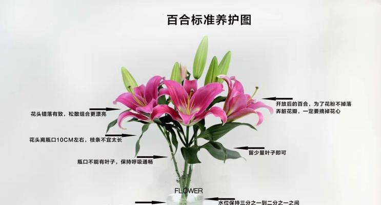 丽格海棠花期如何管理？要点有哪些？