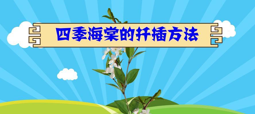 丽格海棠夏天浇水方法是什么？如何正确进行夏季养护？