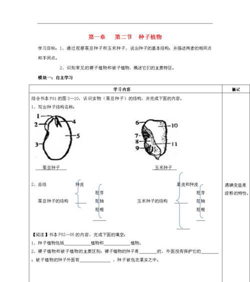 荔枝种子发芽快吗？种子生长过程有哪些关键步骤？